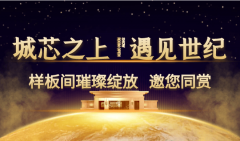 解答项目规划、购